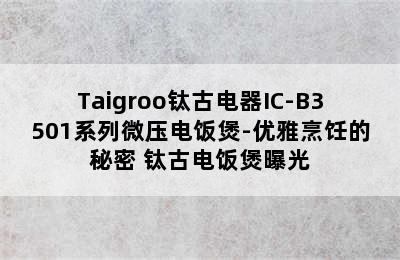 Taigroo钛古电器IC-B3501系列微压电饭煲-优雅烹饪的秘密 钛古电饭煲曝光